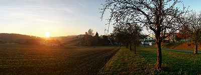 Herbstacker bei Musberg 